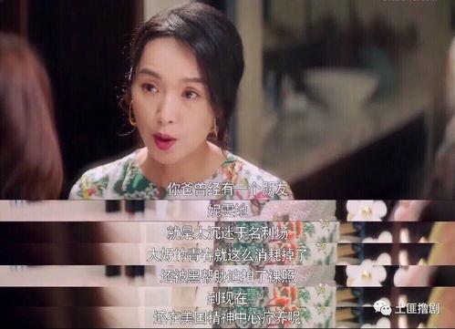 娱乐吃瓜酱金子,揭秘娱乐圈背后的故事与真相